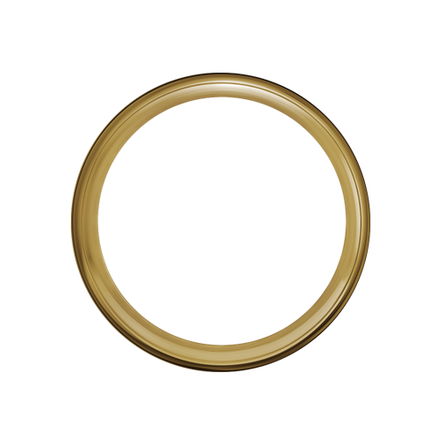 Exotica Hoop - 50 Spoke - 18" x 3.5" - Brass