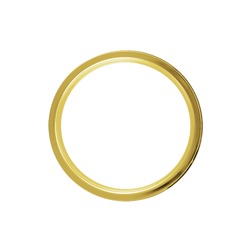 Exotica Hoop - 80 Spoke - 16" x 3.5" - Brass