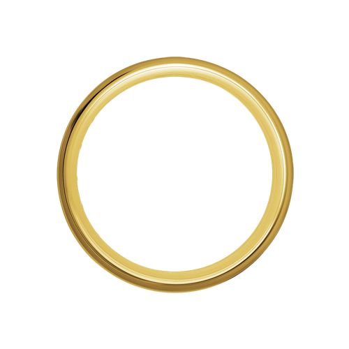 Exotica Hoop - 80 Spoke - 18" x 5.5" - Brass