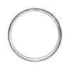 Exotica Hoop - 40 Spoke - 21" x 2.15" - Polish