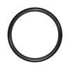 Exotica Hoop - 60 Spoke - 21" x 2.15" - Gloss Black