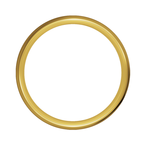 Exotica Hoop - 80 Spoke - 21" x 3.5" - Brass