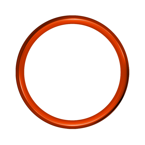 Exotica Hoop - 80 Spoke - 21