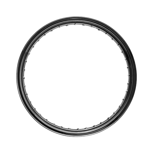 Omega Hoop - 40 Spoke - 21" x 2.15" - Gloss Black