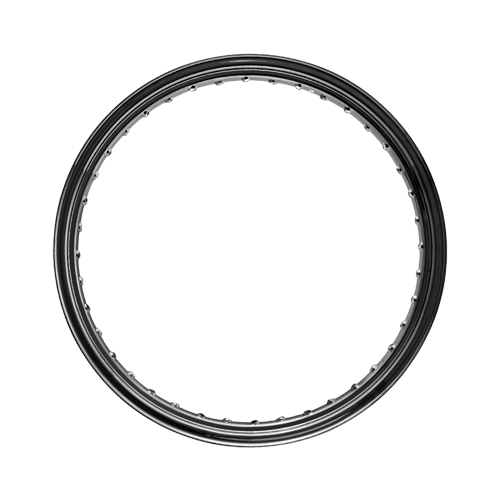 Omega Hoop - 40 Spoke - 21" x 3.5" - Gloss Black