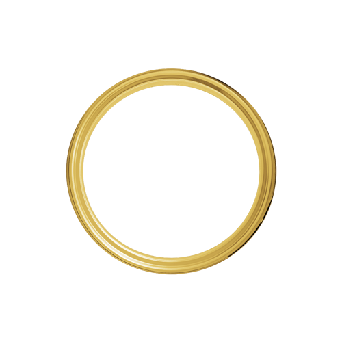 Omega Hoop - 80 Spoke - 16" x 3.5" - Brass