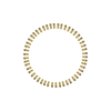 50 Spoke Nips - Brass