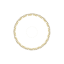 Load image into Gallery viewer, 80 Spoke Nips - Brass