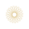 40 New Diamond Spokes - 17" - Brass