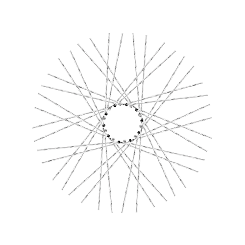 40 Twisted Spokes - 21" - Polish