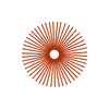 50 Jewel Spokes - 18" - Copper