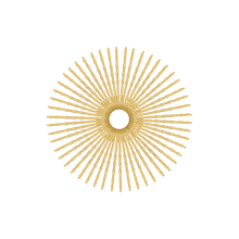 Load image into Gallery viewer, 50 Twista Spokes - 17&quot; - Brass