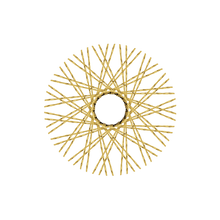 Load image into Gallery viewer, 60 Twisted Spokes - 18&quot; - Brass