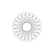 Load image into Gallery viewer, 80 New Diamond Spokes - 17&quot; - Polish